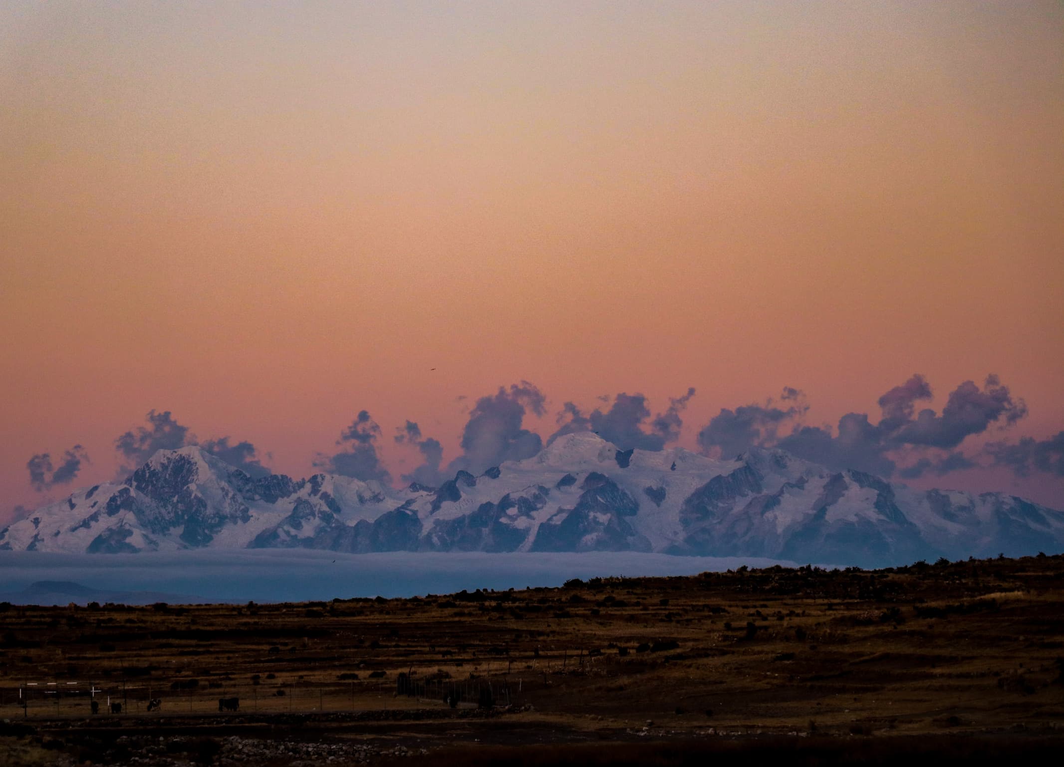 Cordillera Real III